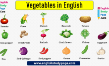 Basic Opposite Words In English English Study Page An adjective generally describes a noun. basic opposite words in english