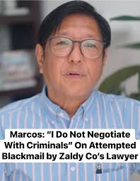 ZALDY CO-NICHIWA IN JAPAN? DILG Sec. Jonvic Remulla