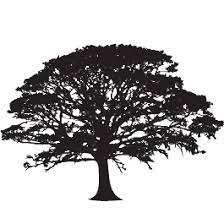 Custom Wall Decals Stickers Vinyl Wall Murals Sign Shop Oak Tree Tattoo Tree Tattoo Pine Tree Tattoo