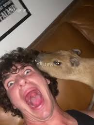 Urban Rescue Ranch: Ben and His Girlfriend