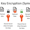 Keep in mind that none of this information is specific to your wallet, as it is all public information on the blockchain. 1