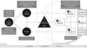A lesson for first and second graders by jamee petersen miriam schlein's more than one (new york: Family Entrepreneurial Resilience An Intergenerational Learning Approach Emerald Insight
