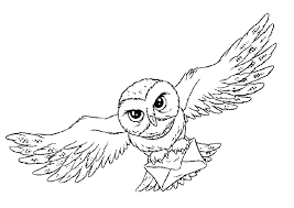 Some of the coloring page names are harry potter and her owl hedwig coloring netart, , hedwig harry potter owl coloring 525121, harry potter send a letter using hedwig coloring netart, top 20 harry potter coloring online, harry potter themes a collection of ideas to try about, harry potter coloring picture harry potter. Harry Potter Coloring Pages To Print Coloring Home