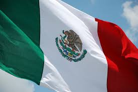 Esta separata didáctica lo podrás adquirirá gratis en formato pdf y observaras temas como: Breve Historia De La Bandera Mexicana