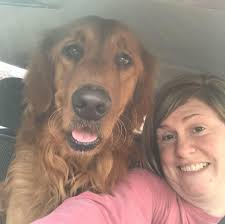 RhondasRetrievers‎