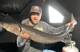 Profile for King of the Sturgeon