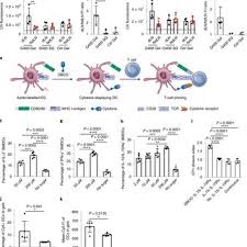 Jogo duplo stars jani zhao as susana wang, anna eremin as cátia sobral and joão catarré as joão guerra. Metabolic Labeling And Targeted Modulation Of Dendritic Cells Request Pdf