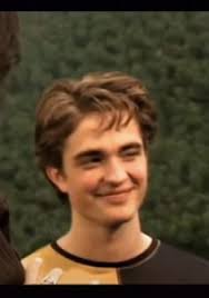 19 ideas de Cedric Diggory