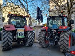 Video seks dalam kereta