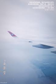 我喜欢我的懦弱 痛苦和难堪也喜欢 喜欢夏天的光照 风的气息 蝉的鸣叫 喜欢这些喜欢得不得了 还有和你喝的啤酒 说不清啊 momento mori airplane view scenes