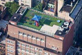Rooftop Playground Jpg 468 312 Rooftop New York Rooftop Nyc