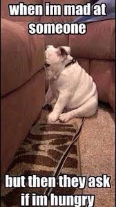 When Im Mad At Someone Feedpuzzle Funny Pictures Funny Cute Funny Memes