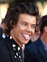 900+ Harry Styles ideas