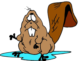 Image result for sad beavers