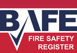 I think it may be good to have an extinguisher in the logo as this then makes it immediately obvious as to what sort of things we sell. Using The Bafe Logo