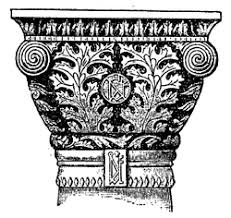 Image result for Acanthus mayaccanus