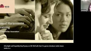 Harassment Claims and Litigation for Attorneys, Employers, and Employees