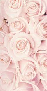 Pinterest pastlelove white roses wallpaper rose gold wallpaper. 45 Beautiful Roses Wallpaper Backgrounds For Iphone Best Flower Wallpaper Pink Flowers Wallpaper Flower Wallpaper