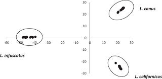Provincially regulated disease key legislation affecting plant health in british columbia. Wireworm Coleoptera Elateridae Genomic Analysis Reveals Putative Cryptic Species Population Structure And Adaptation To Pest Control Communications Biology