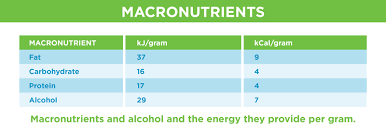 The microbial cell is made up of several elements such as carbon, oxygen, hydrogen, nitrogen, sulfur, phosphorus, potassium, calcium, magnesium, and iron. Macronutrients And Micronutrients New Image International New Zealand