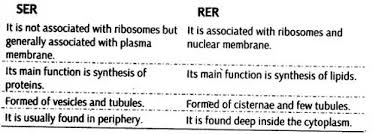 Cell The Unit Of Life Class 11 Notes Biology Chapter 8 Cbse Tuts Celltheunitoflifeclass11notes Class11notesbiologychap In 2020 Nuclear Membrane Cell Theory Biology