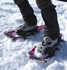 Snowshoeing In A Winter Wonderland Airbnb Below are objects that match one of more of your keywords. snowshoeing in a winter wonderland airbnb