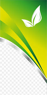 Getting a transparent business card is the latest and modern trend in the industry. Brand Red Business Card Template Frame Business Woman White Png Pngwing