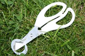 Das hat jetzt ein ende mit unserer speziell designten wachteleischere! Wachtelspeiseeier Hof Janz