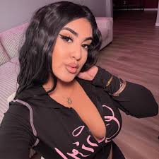 Exterior retractable barrier gate suppliers needed