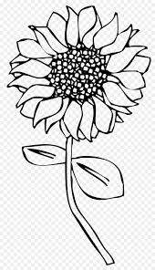 Black And White Line Art Sunflower Drawing Line Art Drawing Common Sunflower Sunflower Coloring Pages Flower Drawing Coloring Pages