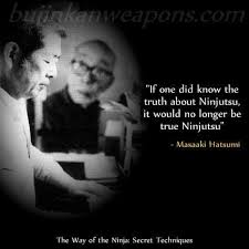 Truth About Ninjutsu Martial Arts Quotes Martial Arts Ninja Art