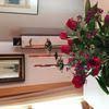 10140 poinsett way fort worth, tx 76108. Top 950 Avas Flowers Reviews Page 9