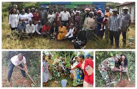 Image result for Oxyanthus goetzei