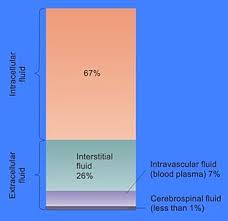 Maybe you would like to learn more about one of these? Extracellular Fluid Meaning In Tamil
