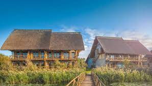There's a restaurant on site. Homepage Green Village Resort