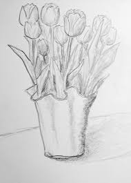 Tulips Drawing Pencil Drawings Spring Drawing Tulip Drawing
