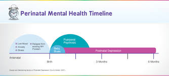 Postnatal Depression Mama Academy