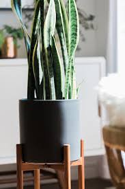 View our extensive range of ceramic indoor plant pots, vases and bowls. 41 Best Plant Pots And Planters For Indoors And Outdoors