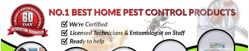 Ants can become quite a pesky pest if not handled quickly. Bugsstop S Stream