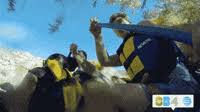We would like to show you a description here but the site won't allow us. Rafting Gifs Get The Best Gif On Giphy