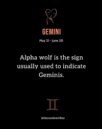 You know what, they are basically naturally friendly individuals who have a way with words and talk in the most charming manner. 160 Gemini Quotes About Their Personality Traits 2021