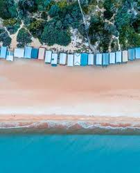 Southern Peninsula News 5th February 2025 by Mornington Peninsula News  Group