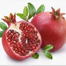 Share this on whatsappnama pokok : Khasiat Buah Delima Kepada Kesihatan Yang Jarang Didengari