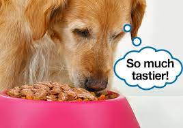 Why won t my dog eat her food. 23 Tricks To Get A Picky Dog To Eat His Food Every Last Bit
