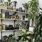 CASA BLOOM FREE Community Event at The PILEA Plant Shop
