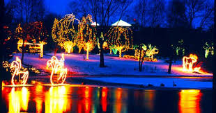 Holiday Lights In Columbus Fun Places To Go Columbus Zoo Places To Go