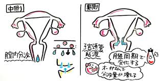 愛液とは？種類・量・Hでの本当の役割をイラスト解説！ | セクテクサイト