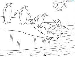 Image Result For Antarctica Coloring Pages Penguin Coloring Pages Penguin Coloring Coloring Pages