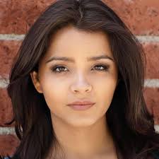 How to Blow Up a Pipeline