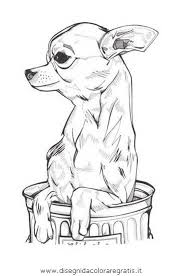 Disegni Chihuahua 10 Animali Da Colorare Disegni Di Cane Arte Di Cani Disegno Di Animali